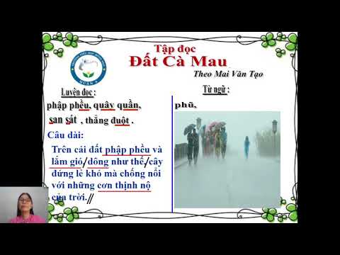 Đất Cà Mau