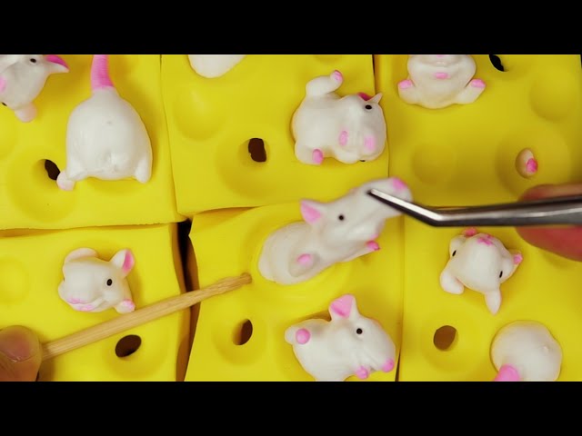 ASMR Plucking Mouse🐭🧀 Who moved my cheese?