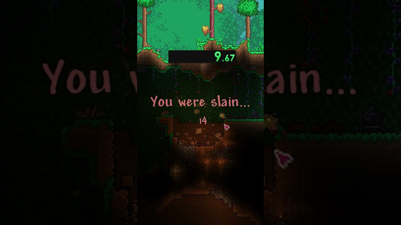 I Set a Terraria World Record!