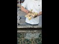 Camouflage water transfer printing eliminates peeling and bubbles