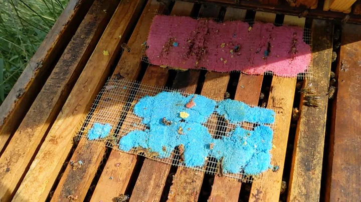 Oxalic Acid Extended Release Testing