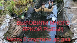 видео: ВЫЛОВИЛИ ВСЮ АКВАРИУМНУЮ РЫБУ ИЗ ПРУДА Ч2. Спустили до дна, выловили и перевели в домашние аквариумы картинка: ВЫЛОВИЛИ ВСЮ АКВАРИУМНУЮ РЫБУ ИЗ ПРУДА Ч2. Спустили до дна, выловили и перевели в домашние аквариумы