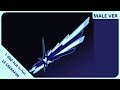 LE SSERAFIM 1 800 Hot N Fun Male Version LE SSERAFIM 1 800 Hot N Fun Male Version