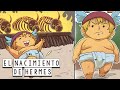 El Nacimiento de Hermes:  El Robo de los Bueyes de Apolo - Mitología Griega - Mira la Historia