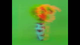 MCVideo 20190718 130444
