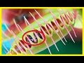 plantas carnivoras mas hermosas del mundo - top 5