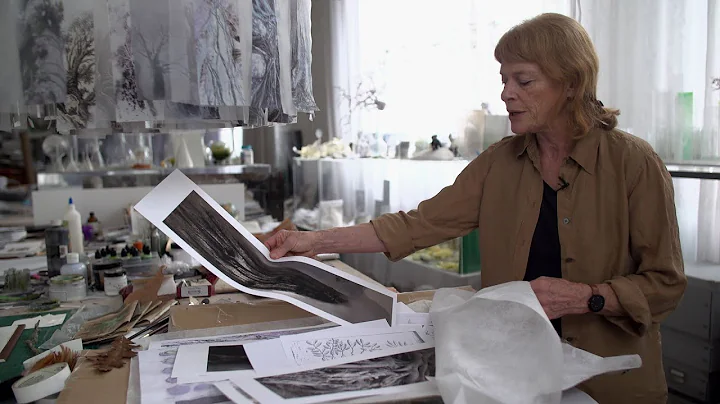 Janet Laurence: After Nature (behind the scenes)