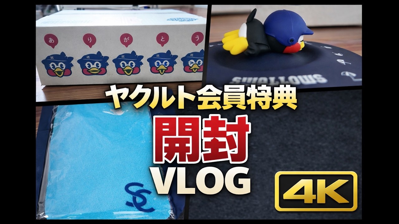 【4K VLOG】ヤクルトスワローズ　会員特典グッズ　開封動画