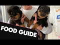What do I feed my Rottweiler Puppy?