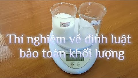 Thí Nghiệm Về Định Luật Bảo Toàn Khối Lượng | Barium chloride Và Sodium sulfate| BaCl2+Na2SO4| KHTN8