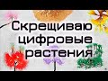 Проект цифрового сада