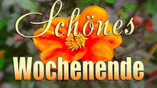 Ich wünsche dir ein  schönes Wochenende...Liebe Grüße für dich... screenshot 3