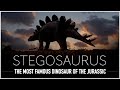 Stegosaurus an iconic dinosaur of the jurassic period  dinosaur documentary