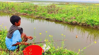 Hook Fishing - Traditional Hook Fishing - Mr Fishing Life Part-441