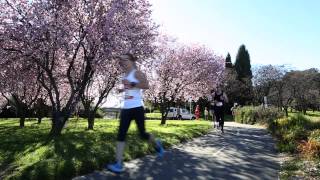 Canberra Times Fun Run 2014 | September 7