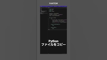 Python ファイルをコピー