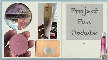 Project pan update #1 | 3 empties