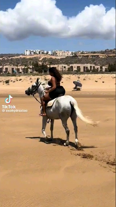 What does Exohydrax look like riding a horse 🐎? #Exohydrax #Woesenpai