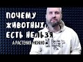 Почему животных есть нельзя, а растения можно. Стрим 6 сентября 2020 года