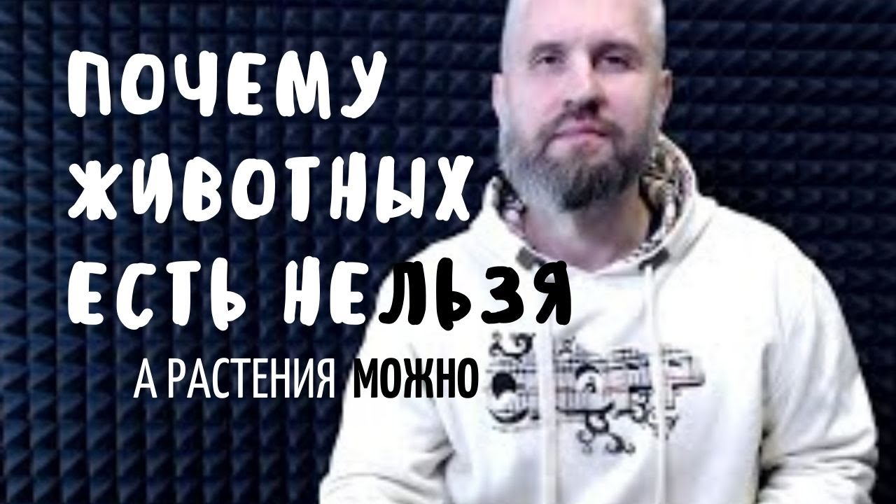 Почему животных есть нельзя, а растения можно. Стрим 6 сентября 2020 ...