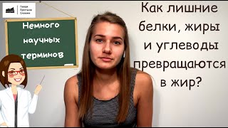 Как лишние белки, жиры и углеводы превращаются в жир?