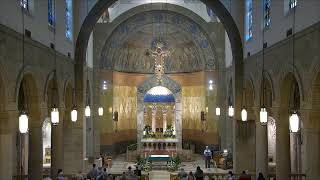 11AM Mass and 50th Wedding Anniversary June 14 2026