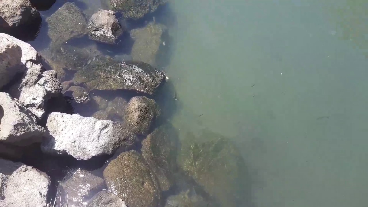 Puerto de mogan Gran Canaria 2017 camera iphone 8 plus apk