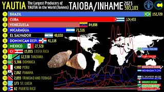 The Largest YAUTIA Producers in the World