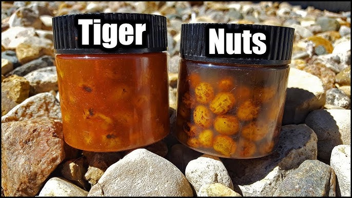 How to properly prepare tiger nuts for carp fishing tutorial 