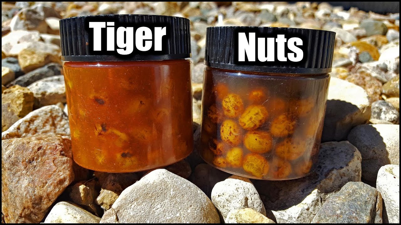 How to Make FLAVORED Tiger Nuts for Carp Fishing! (Home Made Carp