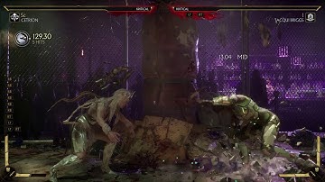MK11 Cetrion Combo