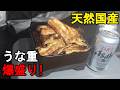 【キャンプ飯】釣った天然国産うなぎを捌いて、キャンプ場で炭火で爆盛りうな重作ってみた【バーベキュー】