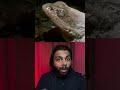 Why do frogs freeze in Winters? 😱