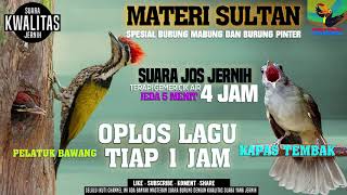 MASTERAN SULTAN || PELATUK BAWANG VS KAPAS TEMBAK || Durasi 4 jam || Tiap Lagu 1 jam || ANTI NYESEL