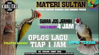 MASTERAN SULTAN || PELATUK BAWANG VS KAPAS TEMBAK || Durasi 4 jam || Tiap Lagu 1 jam || ANTI NYESEL