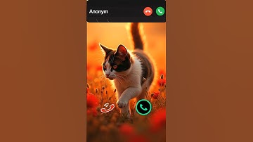 cat is calling #ringtone #smartphone #music #ringtones #song #iphone #cat #callm #funny #funnycall