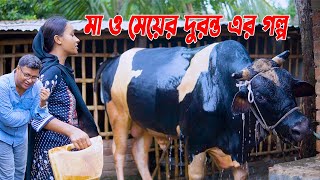 এবার যশোরের মা ও মেয়ের দুরন্ত এর গরু পালনের গল্প। ফেচ টু ফেচ কথা বলেন। গরুর দামসহ বিস্তারিত