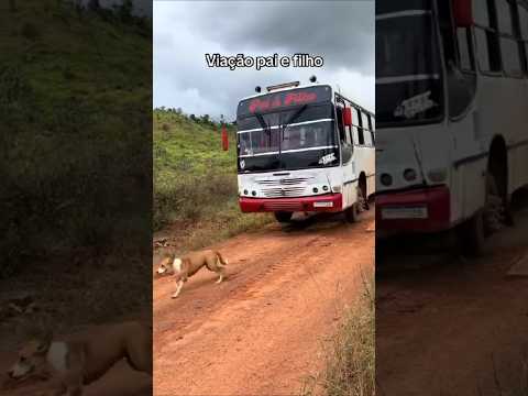 sai daí, cachorro 🤣🤣🤣 #pet #cachorro #pets #viral #motorista