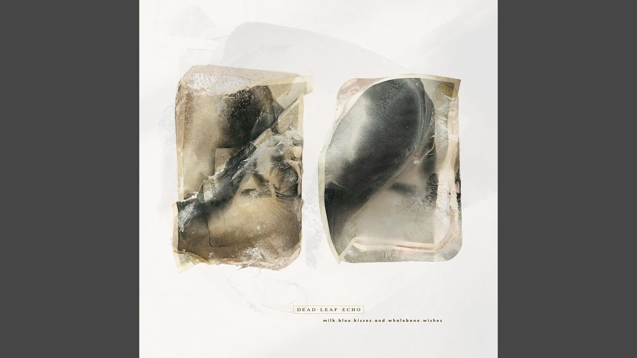 Watch Whale Bone on YouTube Watch Whale Bone on YouTube