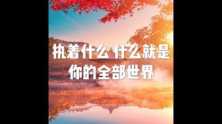 201609 执着什么 什么就是你的全部世界22156