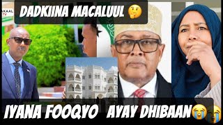 Xili Dadkii Maamulka U Dhiibtey Bakhtiyayaan Ayay Iyakuna Dabaqyo Dhisanayaan 😭