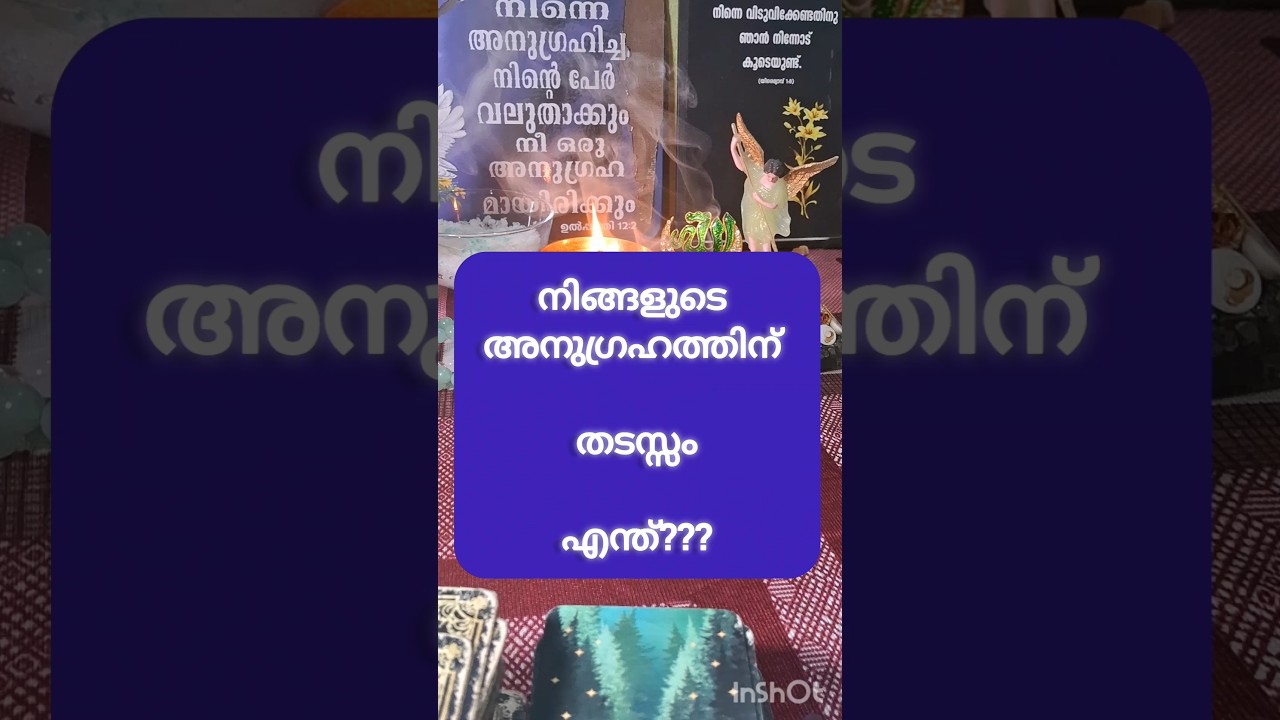 നിങ്ങൾക്ക് അനുഗ്രഹം തടയുന്ന കാര്യം #tarot #motivation #family #astrology