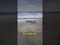 NASA Built a Flying Bathtub to Test Spaceplane Landings