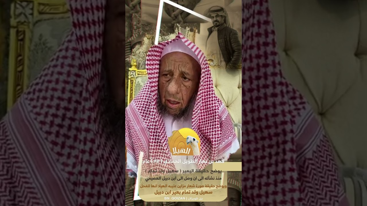 فهد بن نهار الطويل الحمادي (٨٧) عام يوضح حقيقة البعير (سهيل ولد تمام)