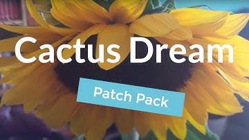 Cactus Dream Sound Pack for the Sequential Prophet 6