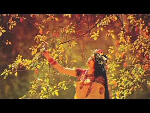Tumi Eshe Amar Mone Fagun Jagale       Lyric video  Chitra Singh
