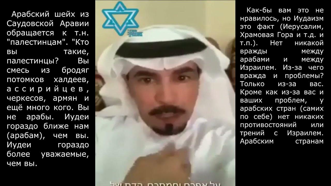 высказывание шейха. слова шейха. слова шейха. цитаты шейхов. высказывание шейха.