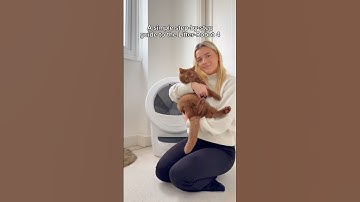 AD | A simple step-by-step guide to the Litter-Robot 4 🐱 #litterrobot #automaticlitterbox #browncat