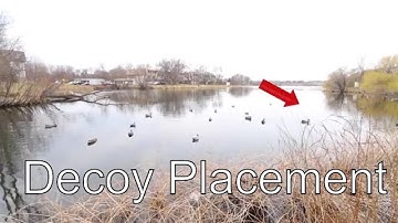 How to Place Your Duck Decoys Part 1: The Basics