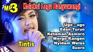 Single Terbaru - Banyuwangi Koleksi Tintis Lung Timur